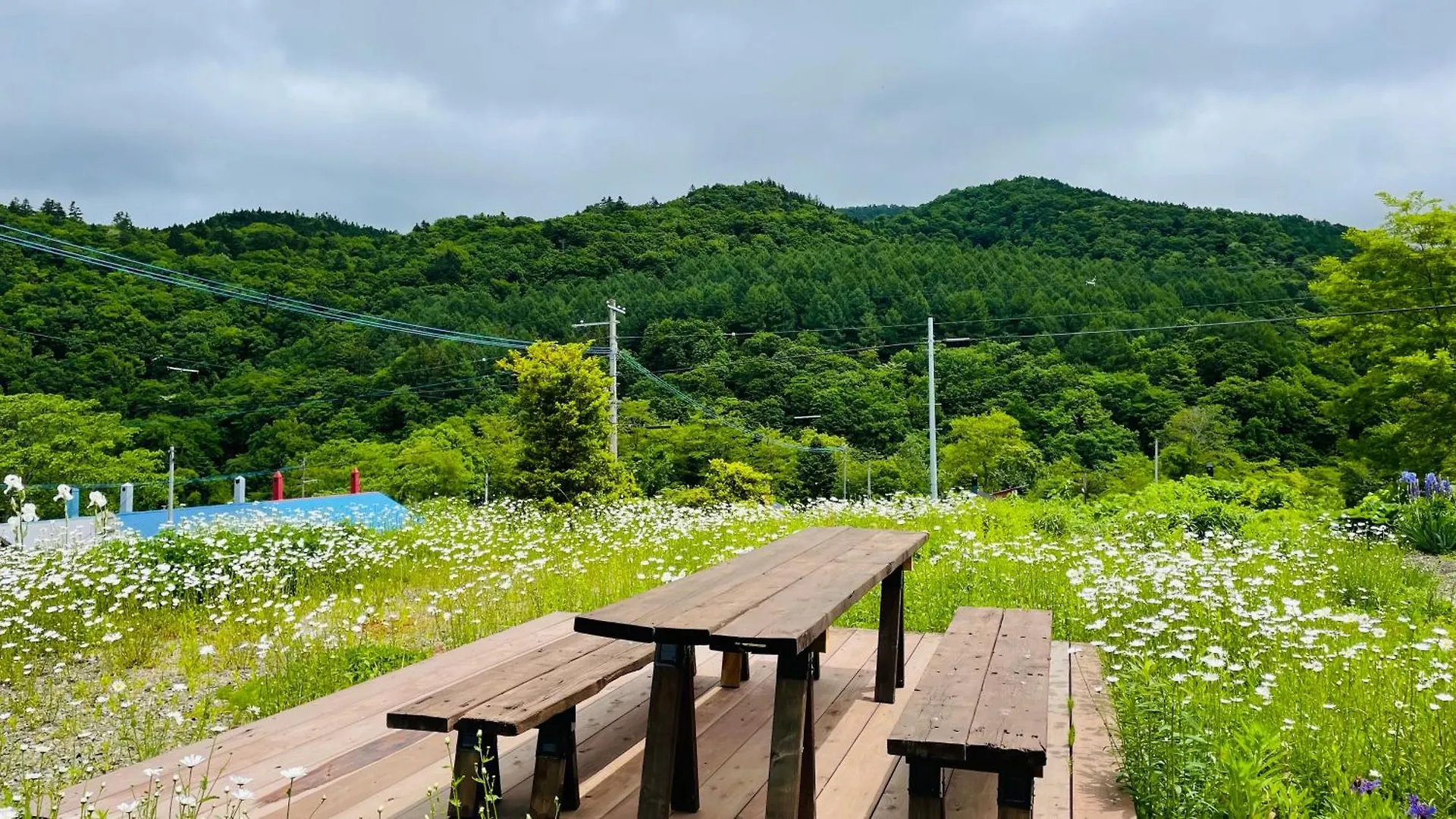 Nord 3 自然豊かな家 - Manji Village - Iwamizawa Ιαπωνία